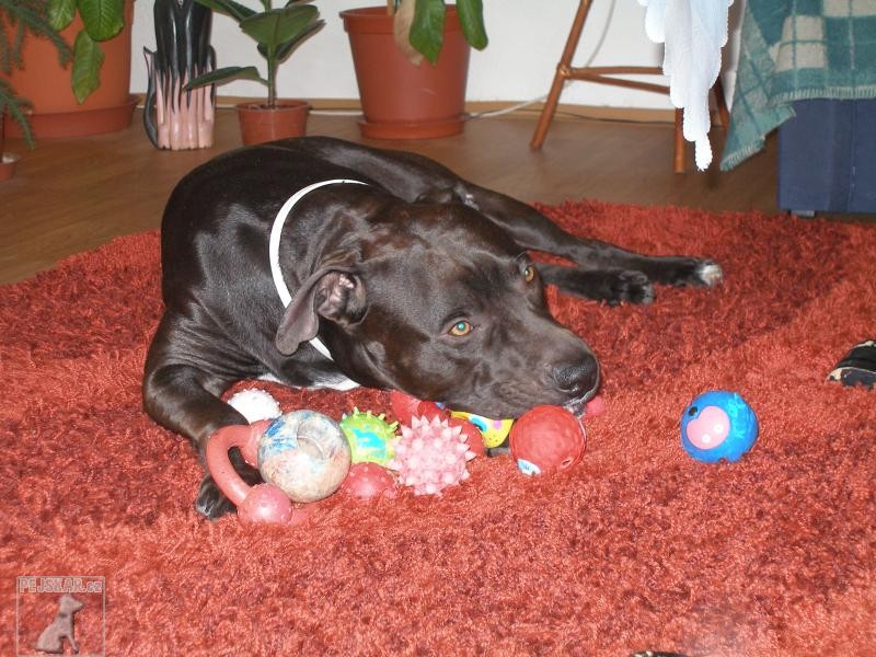 Oskar