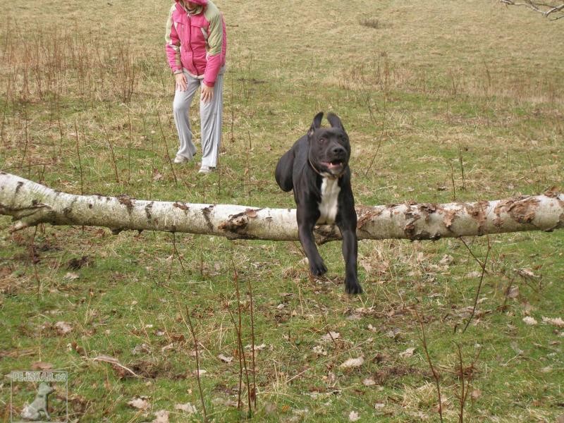 Oskar