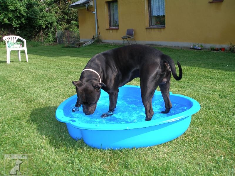 Oskar