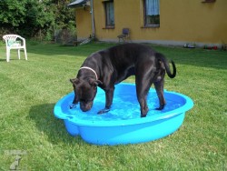 Oskar