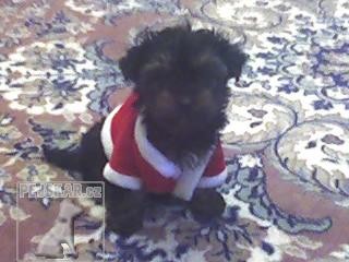 Makynka :)