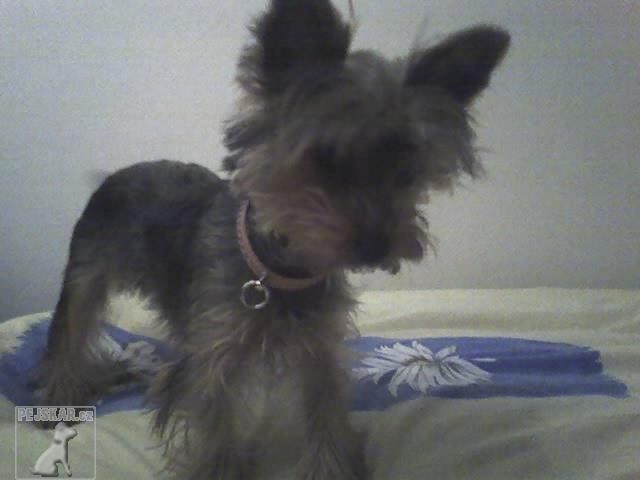 Makynka :)