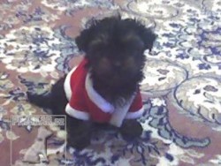 Makynka :)