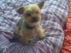 Makynka :)
