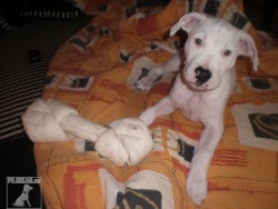 TRIXI.. :O)