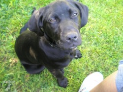 Joey ;)