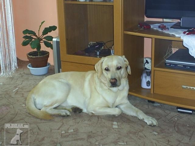 Sárinka♥