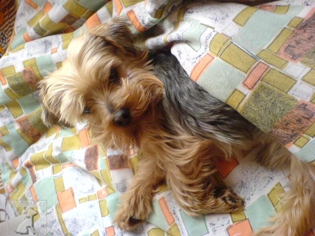 Rocky