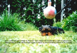 Rocky