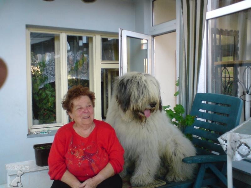 miláček Míša