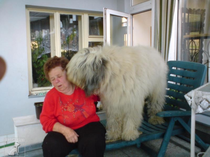 miláček Míša