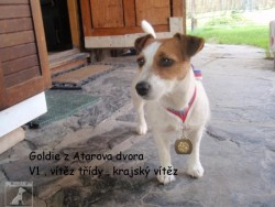 Cecilka (Majla) a Goldie z Atarova dvora