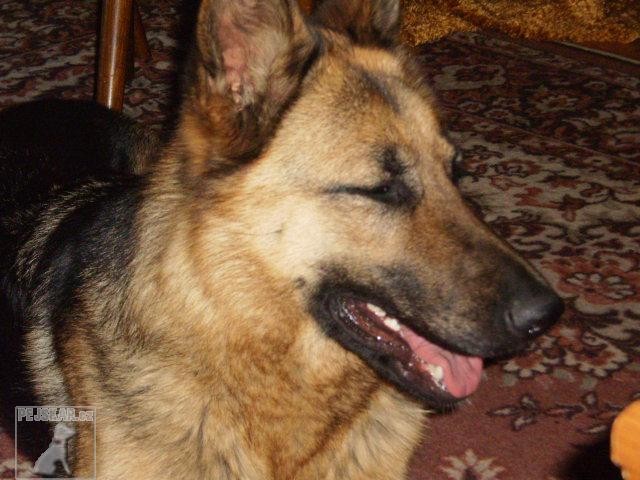 DRAGY