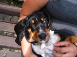 Meggie
