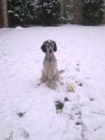 Charlie