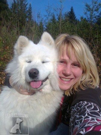 samojed