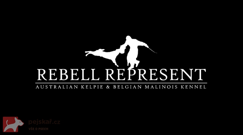 Rebell Represent
