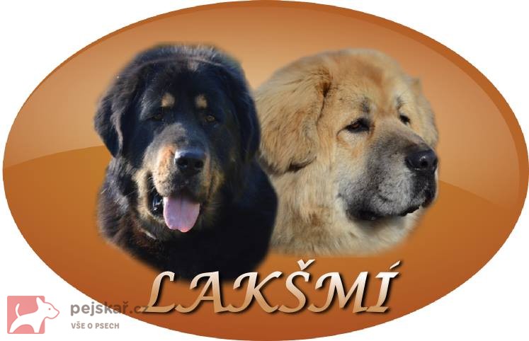 Lakšmi