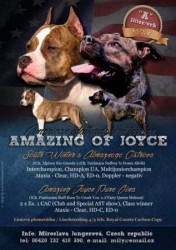 Amazing of Joyce