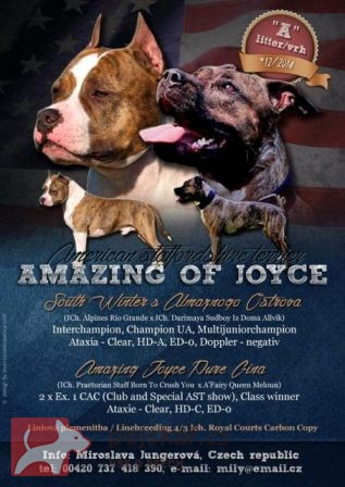 Amazing of Joyce