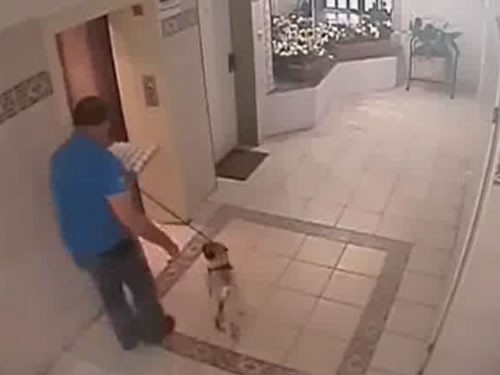 výtah zachytil psa na vodítku