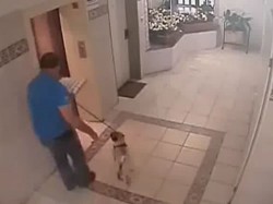 Psa na vodítku zachytí výtah