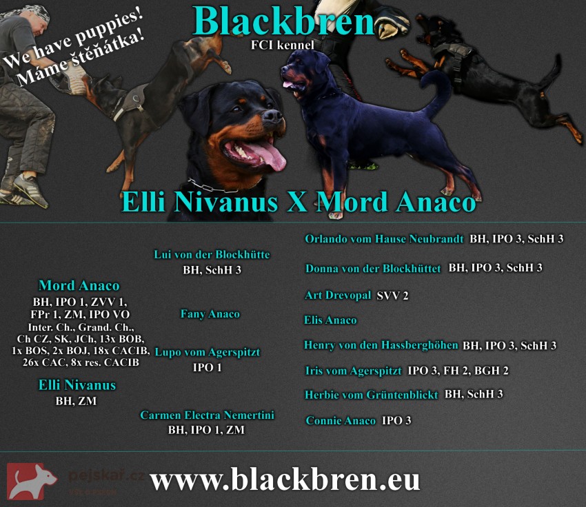 Blackbren