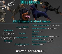 Blackbren