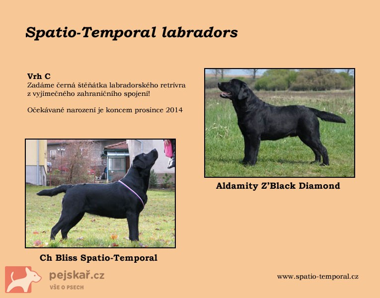 Spatio-Temporal
