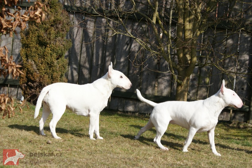 z Pašerácké stezky