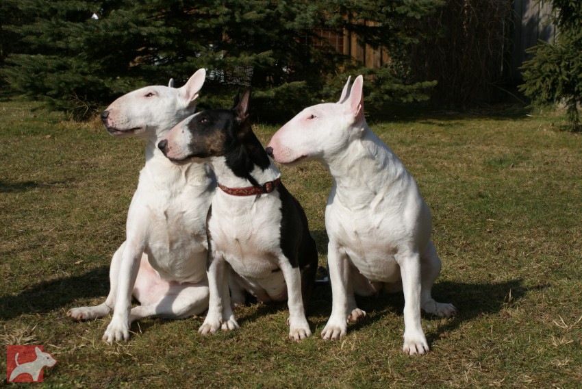 z Pašerácké stezky