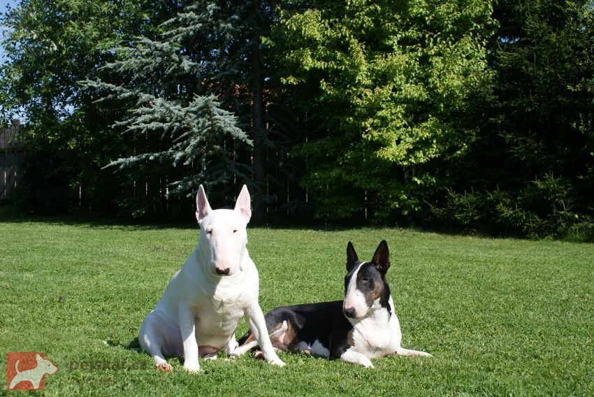 z Pašerácké stezky