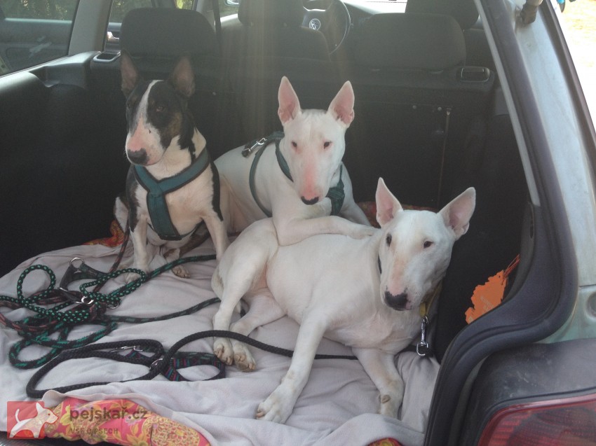 z Pašerácké stezky