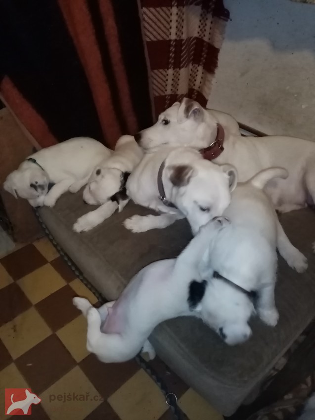 Michaela Porochoňská