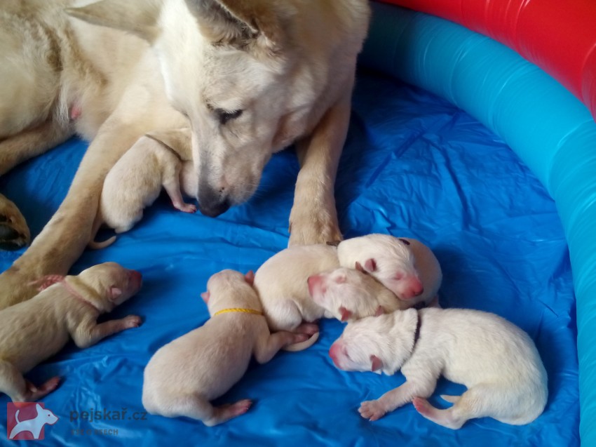 od Knapovského potoka