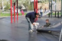 Lze unést dítě pomocí psa?