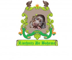 Logo Lischnitz De Boheme