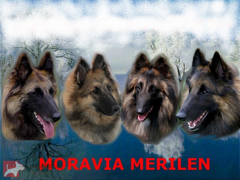 Moravia  Merilen