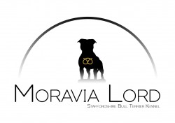 Moravia Lord