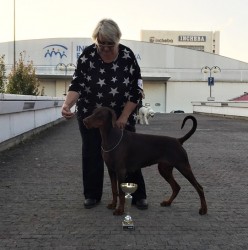 Multi J.ch. CACIB, BOB,..Henrietta Hoppe z Helfštýna