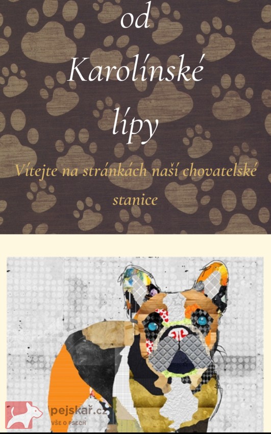 od Karolínské lípy