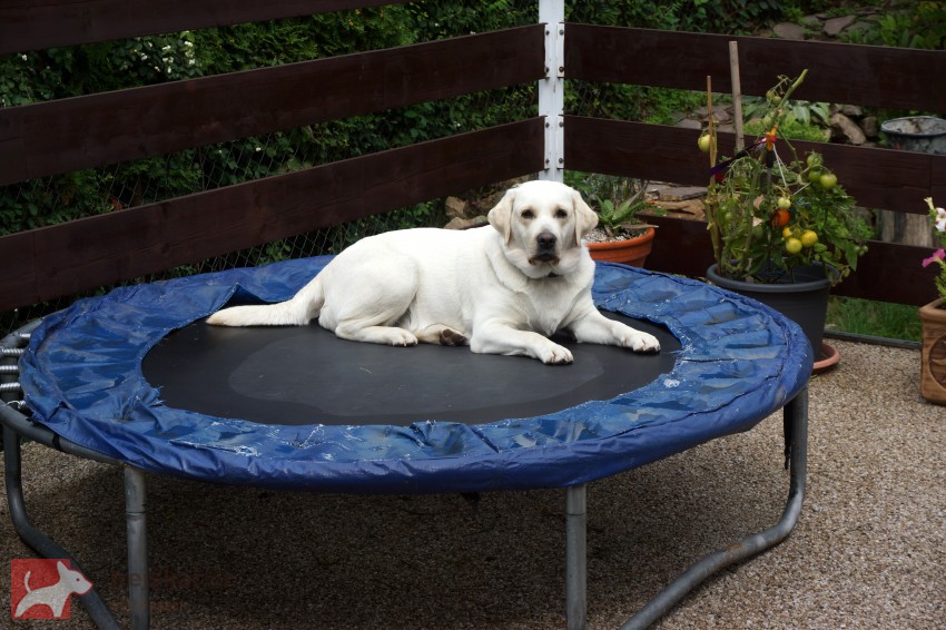 Z Vlkoveckých teras