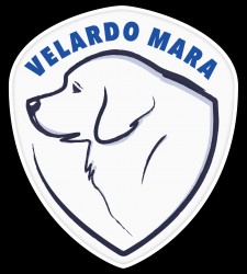 Velardo Mara