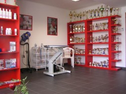 Psí salon Bonny