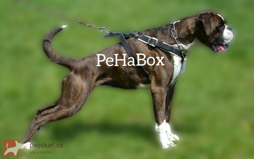 PeHaBox