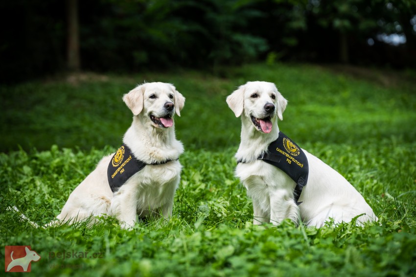 CHS Salátové Štěstí