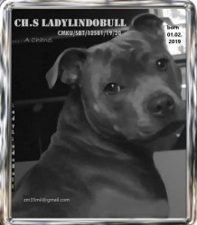 A Chanel LadyLindoBull Czech