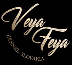 Veya Feya