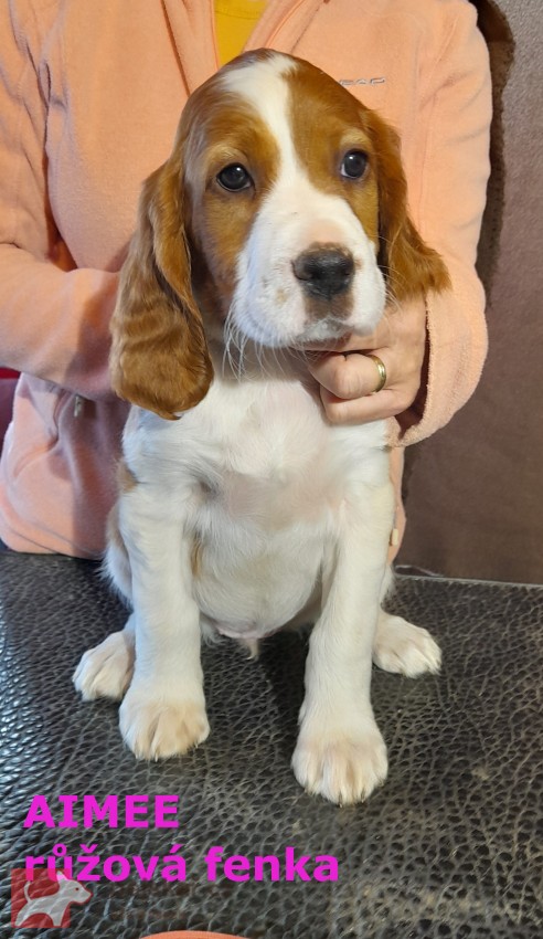 z Doubravského údolí