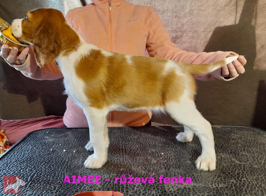 z Doubravského údolí